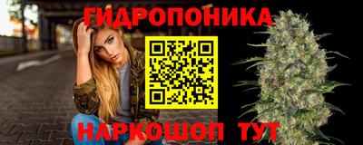соль ск Сланцы