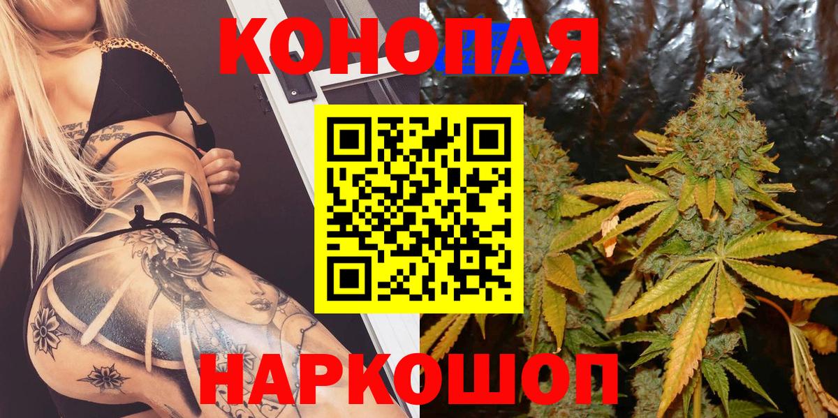 МАРИХУАНА сатива Новошахтинск